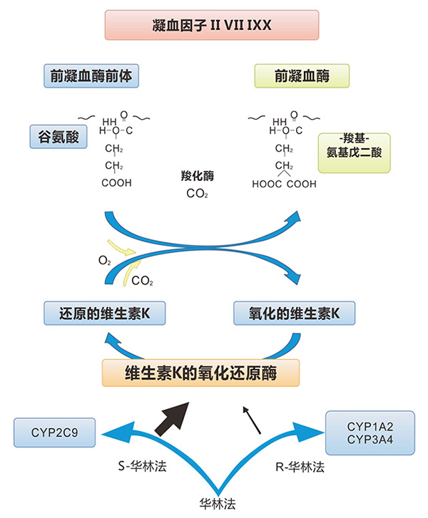 涂鸦动漫——，创意无限，童心未泯的艺术革命